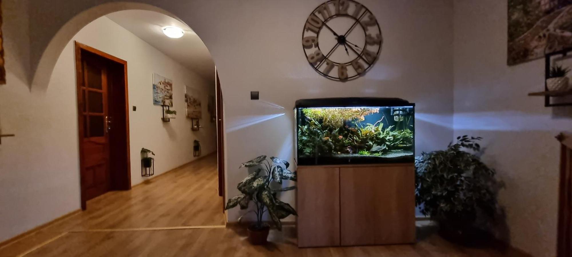Noclegi Na Lacznej Swiebodzice Luaran gambar